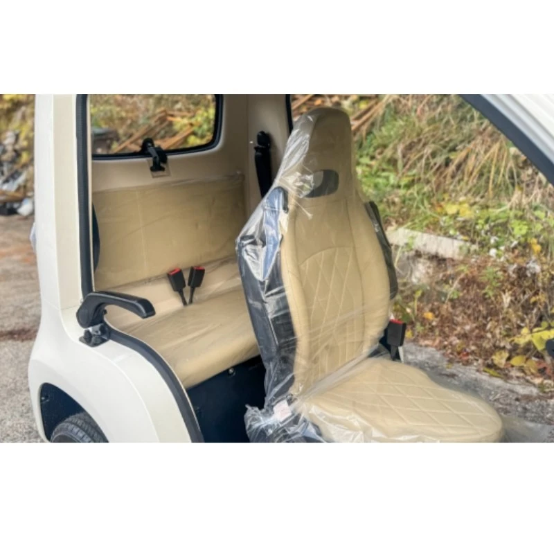 Electric Leisure Tricycle high quality